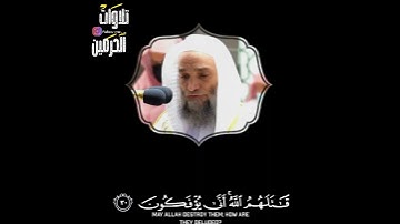 " قاتلهم الله " تلاوة جميلة للشيخ فيصل غزاوي من سورة التوبة