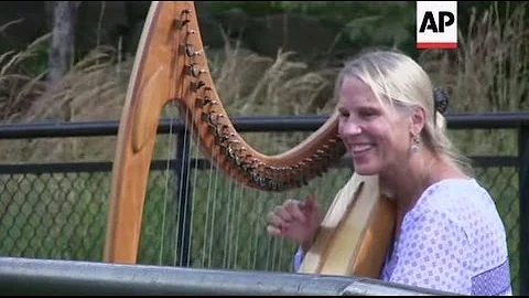 Teri Tacheny, a harpist, has a loyal following of ...