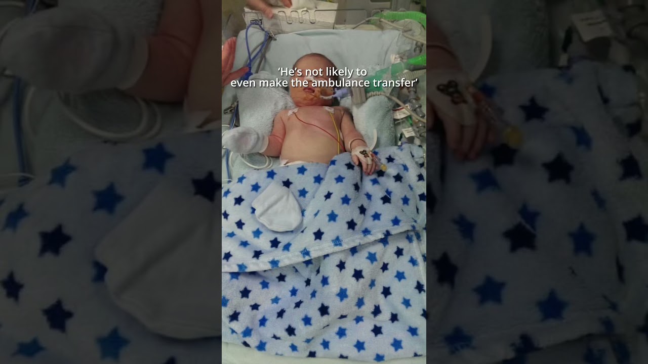 Little Heart Warrior Journey 