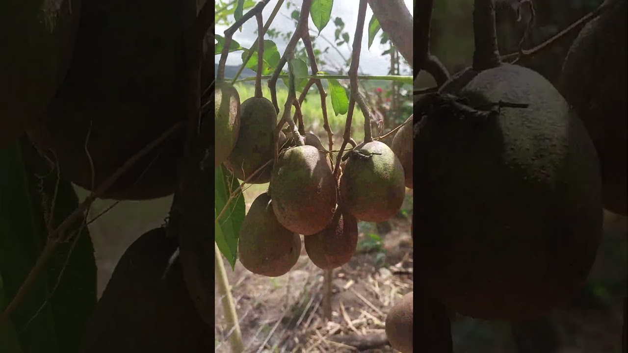 tó por cá 😉 gente