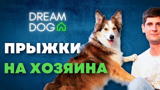 Прыжки на хозяина 🐶 Отучить собаку прыгать на человека 🐕 Научить щенка не ставить лапы на людей 🐩