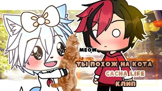 КЛИП -  🐈🐾ТЫ ПОХОЖ НА КОТА🐈🐾 //gacha life//