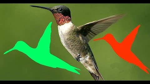 Adobe photoshop cs6 Bangla tutorial(HOW TO MAKE CUSTOM SHAPE)-97:কাস্টম শেপ তৈরি