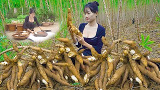 Single mother: Harvesting cassava to sell - works far away - Harvest Vegetable, Farming, Cooking
