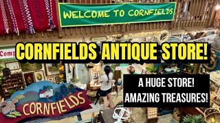 🖼️Lancaster County Antique Shopping @ Cornfields Antiques! New Holland PA! 🪑