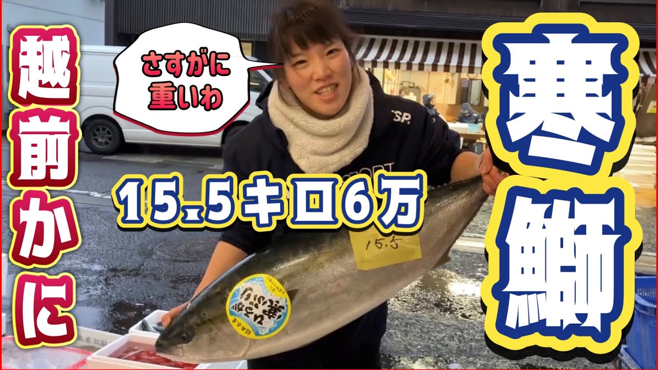 15.5キロ寒鰤最高なやーつ！本日蟹セリ！』#激安 #魚屋 #相木魚問屋