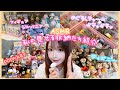 【ASMR】平成女児&ミーハー女の見せる収納大公開🪄めじるし/ガチャ/POPMART/シルバニア/ディズニーetc...