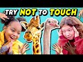 Parents & Kids Try Not To Touch Challenge (Ft. A Baby Giraffe)