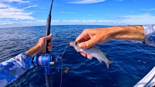 Do You Think This Will Work? Offshore Fishing w/ Mullet and Jigging