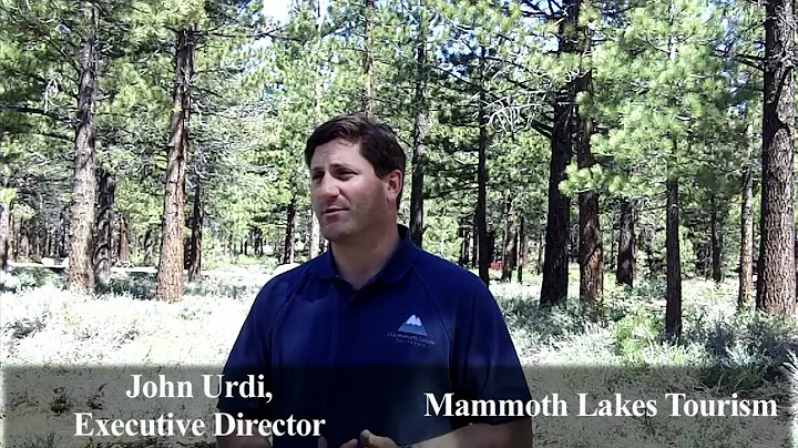 What to do in Mammoth Lakes this summer