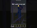 Huggy wuggy in MINECRAFT