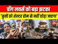 Supreme Court On Stray Dogs : डॉग लवर्स को बड़ा झटका, सुप्रीम कोर्ट का बहुत बड़ा फैसला | Top News