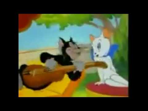 توم وجيري باللهجة الجزائرية يانا بريوين 