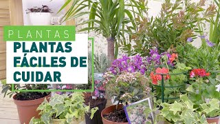 10 Plantas de exterior resistentes y fáciles de cuidar en VERDECORA - YouTube