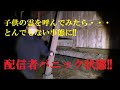 【閲覧音量注意】子供の霊が出る神社で叫んでみたら・・・近づいてきた!!