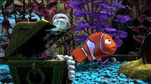 Pixar Summer Movies to Go Countdown - 12 Surprising Facts About Finding Nemo