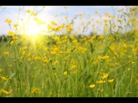 мегафон самсунг а 50