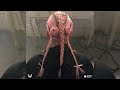 Bakkerphonk Grouping Slowed Bakkerphonk Grouping Slowed