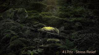 Release Tension & Stress, 417Hz Theta Waves, 30 Min