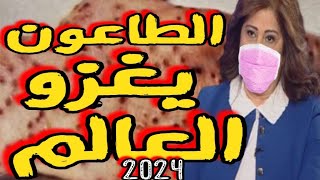 ليلى عبد اللطيف تحذر من انتشار وباء الطاعون من جديد وقد يغزو العالم