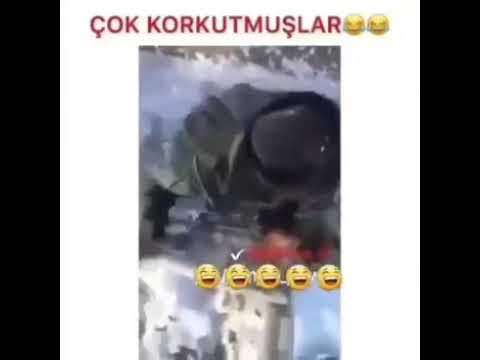 Kürtçe komik (Misto we neke)