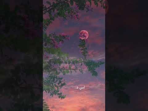 أمه يا عيوني