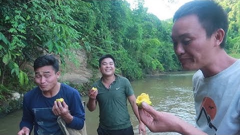Ăn quả siêu chua ở suối ► nhật ký sống trong rừng - tập 02 | Nhịp Sống Tây Bắc