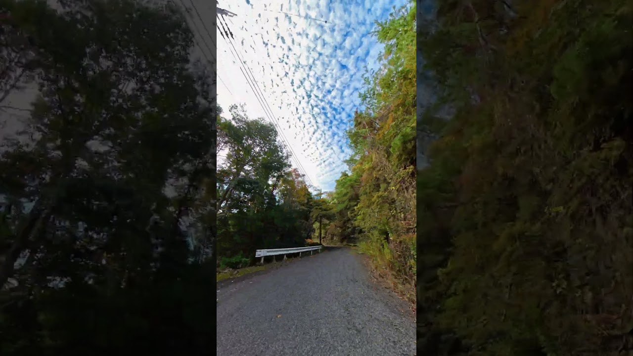 【4K】Japanese Motorcycle Video13/ Matsuo Pass 1