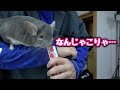 チンチラに久しぶりにチュールあげてみた。