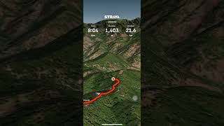 Strava Map - CMU 2025 - 50km