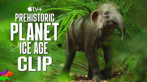 Dwarf Stegodon Hunted By Stork | Prehistoric Planet: Ice Age | OFFICIAL CLIP