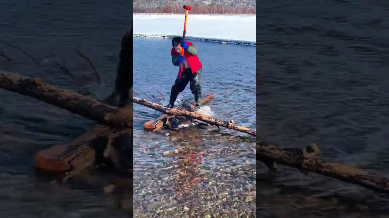 Fishing In Mohe The Northeast Joy Of Outdoor Wild Experiencex 408