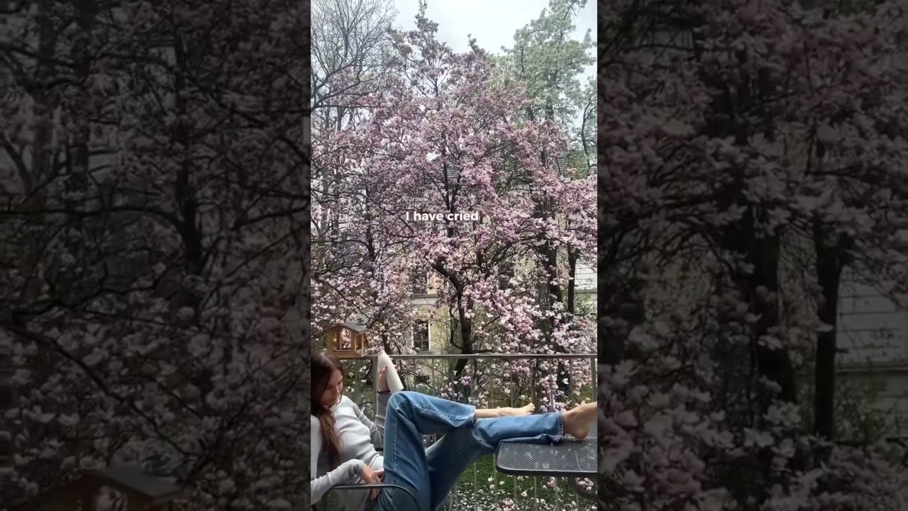 Who wants a spring song? My new song "I return like spring" is online 🌸❤️🌸 auf YouTube ansehen Who wants a spring song? My new song "I return like spring" is online 🌸❤️🌸 auf YouTube ansehen