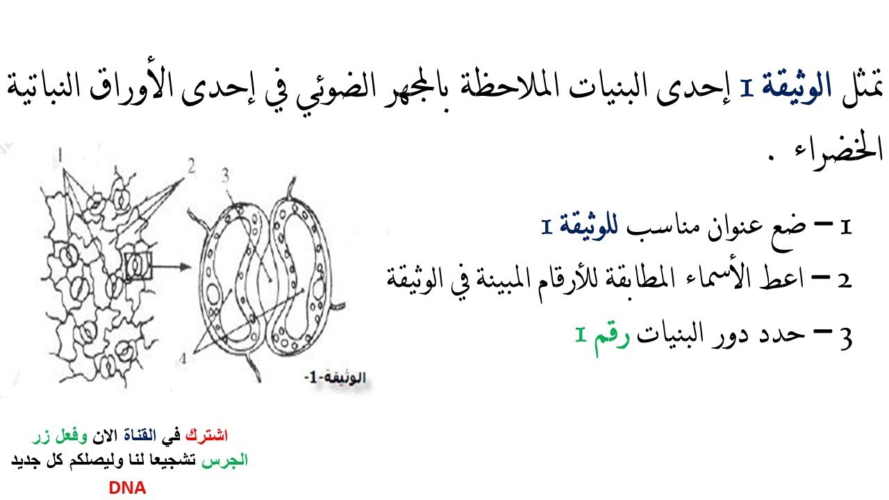 فروض واختبارات الفصل الثاني مادة العلوم الطبيعية السنة الاولى ثانوي | 09