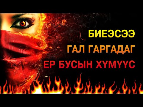 Видео: Ер бусын гоо үзэсгэлэн, өндөр амтат вандуй