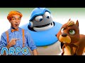 Blippi and arpo  we are squirrel   funny educational kidss  moonbug kids