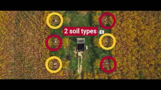SOILS AT GUELPH Tour Promo [Descriptive Audio]