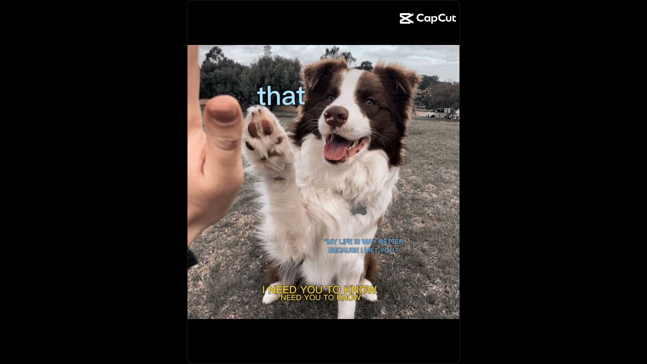 They are so sweet. COUNTING DOWN THE days!!