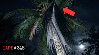 Information 7 Scary Paranormal Clips That Scared The Internet | Real Ghost Encounters Tape#248 | Tapes by Fatima News