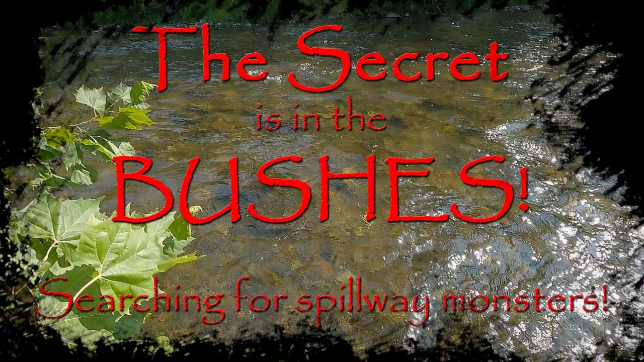 The Secret is in the Bushes! Searching for Spillway Monsters!