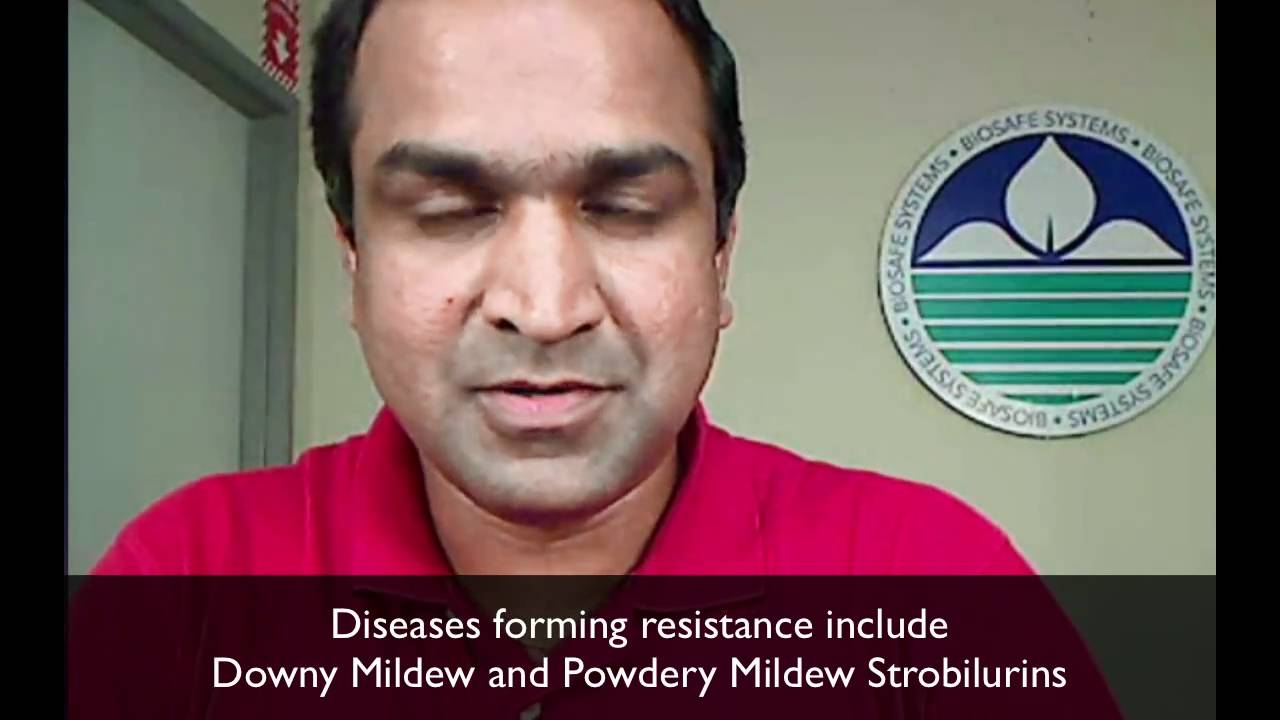 BioSafe Systems' Vijay Choppakatla Shares Why Their Fungicides Differ From Traditional Chemistries