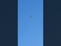 of Gulfstream g400 of (N88ND) Landing form DAL Airport over my house es