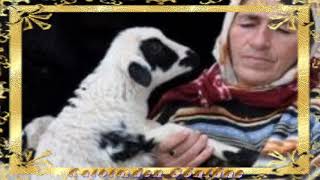 Uzun Hava - Sarı Kızı Kim Koydu Mezara