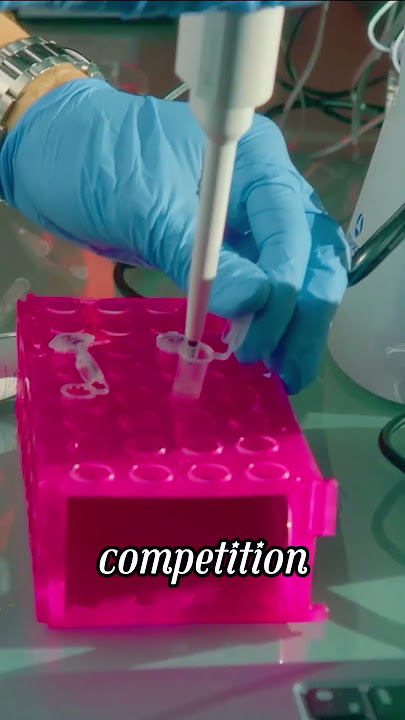 Weird sperm race #animation #findthedifference