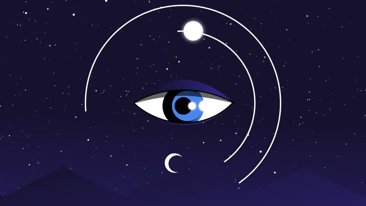 Motion Graphics study