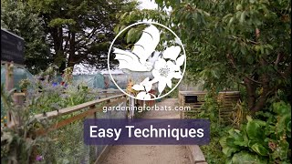 Gardening for Bats: Easy Techniques