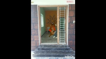 Animation/Tom & Jerry dance /vfx/Mr Bean dance/penguins dance/Cat/dog/funny dance/cartoon /graphics