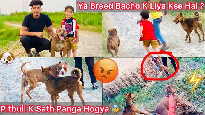 Onlayn BDSM bilan yuz otirgan kunnilingus porno Jinsiy dumbali shimlarning fotosuratlari