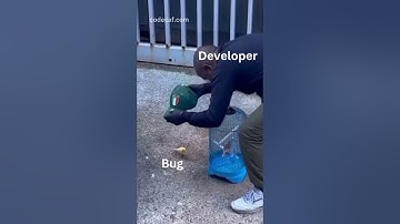 When Developers Fix Bugs on Production