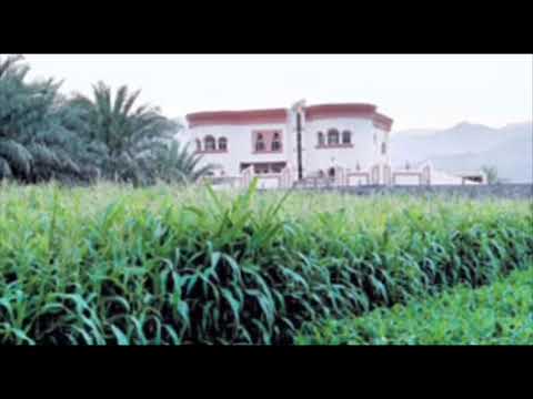 تاخذين العقل يابنت الجنوب 